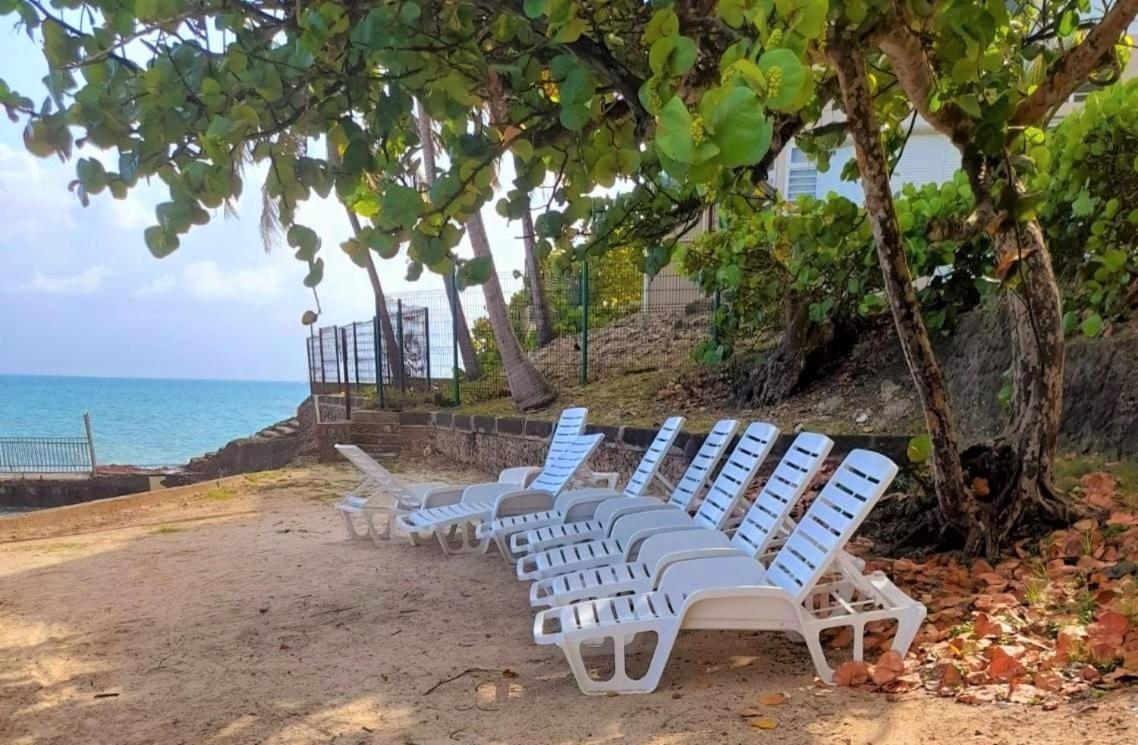 Ilet Bleu Studio Cosy Rdc Vue Mer Et Jardin - Acces Direct Plage 르 고지에 외부 사진